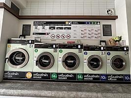 In The Mood For Wash