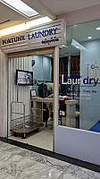 Fortune Laundry