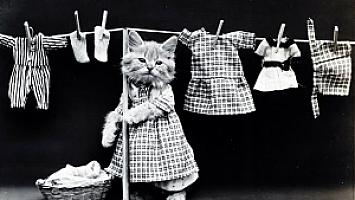 พี่ตาล ซัก อบ รีด(56)