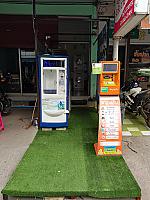 ต้นหยอดเหรียญ