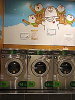 Otteri Wash & Dry แยกวัดหนองสนม ระยอง