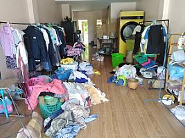 ไวฟ์ลอนดรี่ซักอบรีด