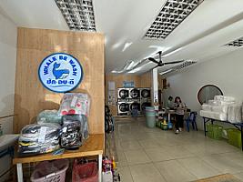 Whale​ be​ Wash​ ซัก-อบ-ดี