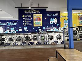 Smat Wash24