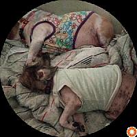 Wash & Dry self service Open24/7