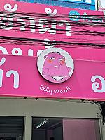 แอลลี่ วอช