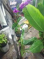 ร้าน จุฬา ซักอบรีด วัดตึก