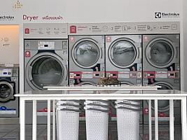 WASHENJOY ร้านสะดวกซัก สาขานครปฐม5 (7 สวนตะไคร้)