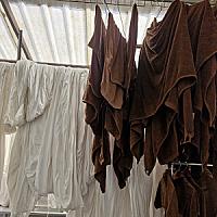 ซัก รีด Laundry