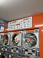 Dr.Tiger Laundry Bam Bam Bi