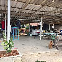 วิภาสิริ ซักรีด