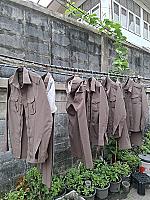 ร้านแอน ซักรีด