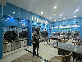 Rabbit wash and dry laundry