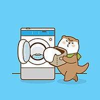 Otteri Wash & Dry bangnanglee