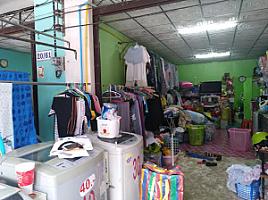 แมวเหมียว​ซักรีด​ ราชภัฏ​ภูเก็ต​