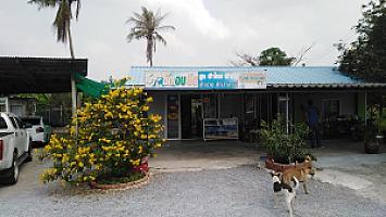 อ้อย​ซักอบรีดปลาย​น้ำ