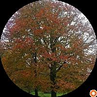 24/7 Laundry service