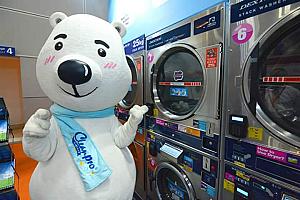 Cleanpro Express Self Services Laundry