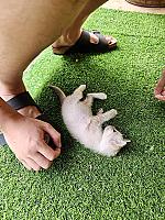 พี่ตุ๊ก ซักอบรีด เขาใหญ่