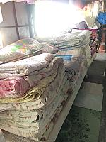 โพศรีซักรีด