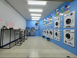 Bear wash ซักอบผ้าหยอดเหรียญ