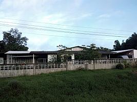 ตะกั่วป่า ซักรีด