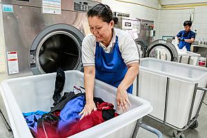 Whale Wash Co., Ltd.