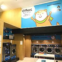 Otteri Wash & Dry