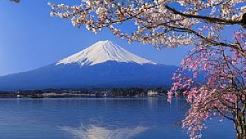 ร้าน ประมูลชัยซักแห้ง